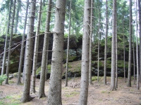 Cesta na Sedlo