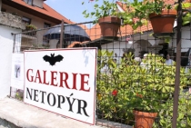 Galerie Netopýr