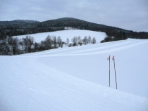 Novinky Karlovské 50