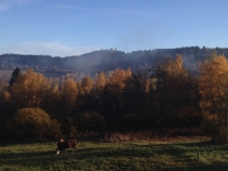 Dostupná Šumava i letos...