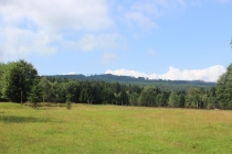 Šumavský park vypouštěl do přírody splašky. Dostal rekordní pokutu