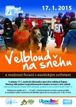 V sobotu potkáte na Lipně velblouda Šajtana