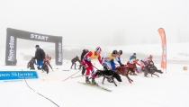 BELVEDERSKÝ SPRINT 2015