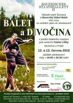 Balet a divočina